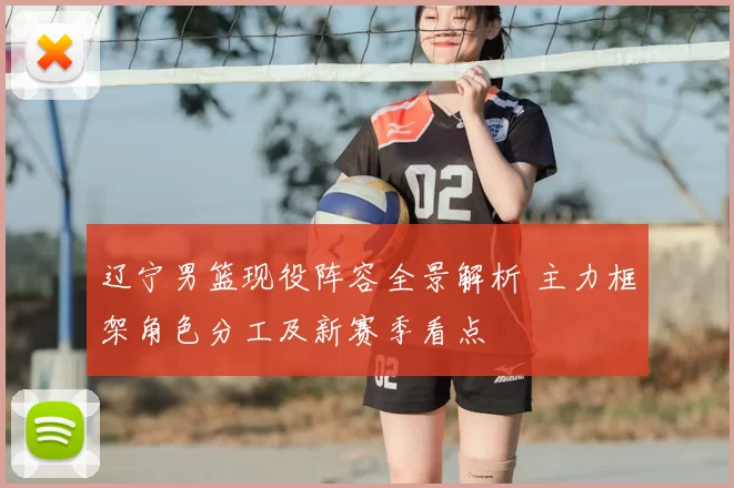 辽宁男篮现役阵容全景解析 主力框架角色分工及新赛季看点