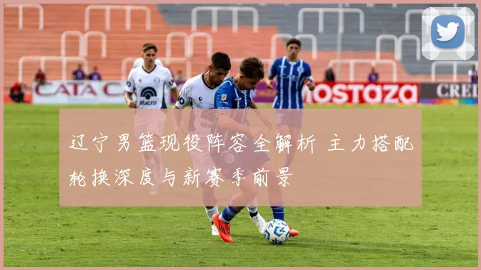 辽宁男篮现役阵容全解析 主力搭配轮换深度与新赛季前景